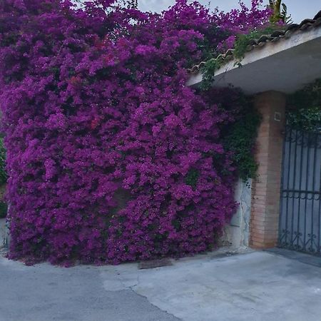 La Latomia Villa Nei Pressi Del Teatro Greco 시라쿠사 외부 사진