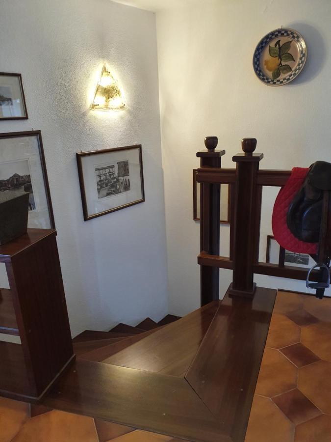 La Latomia Villa Nei Pressi Del Teatro Greco 시라쿠사 외부 사진