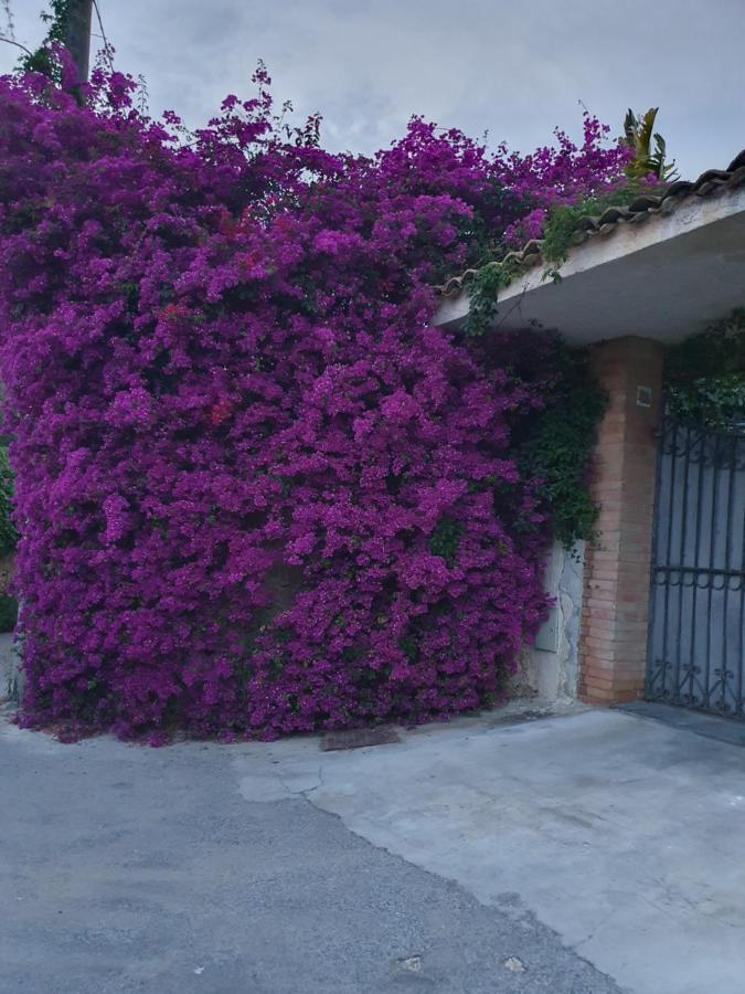 La Latomia Villa Nei Pressi Del Teatro Greco 시라쿠사 외부 사진